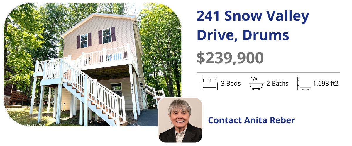 241 snow valley