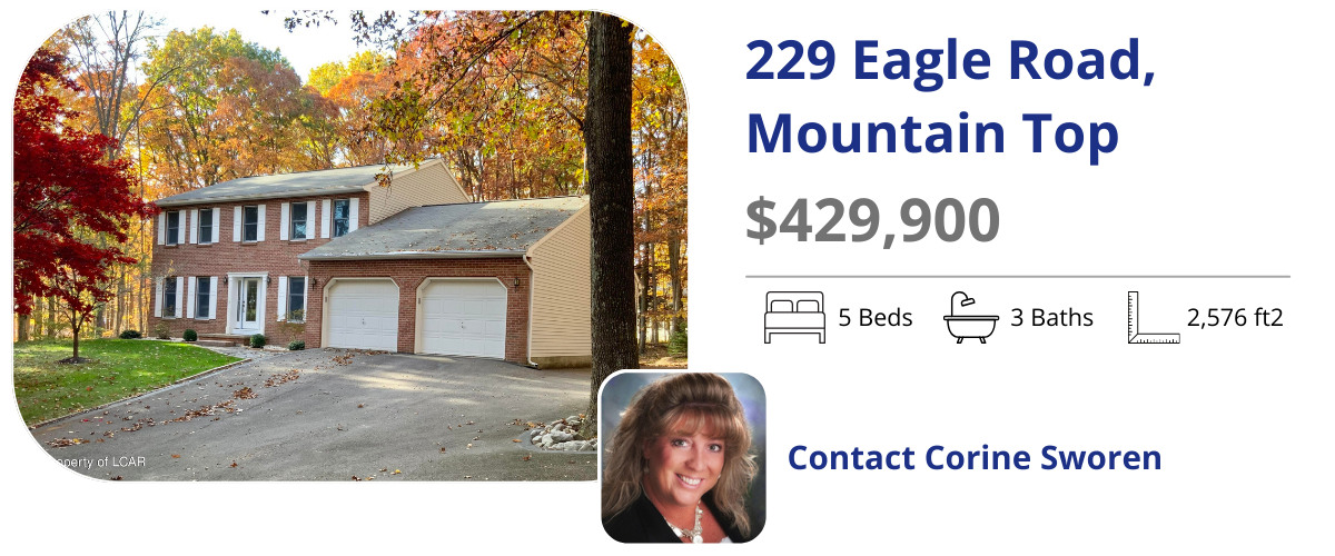 229 eagle road