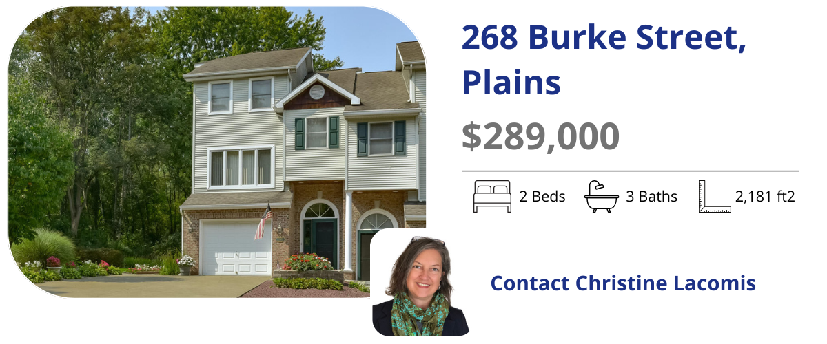 268 burke st plains