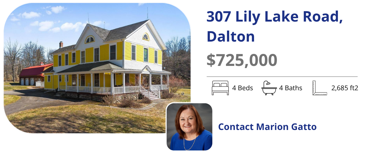 307 lily lake