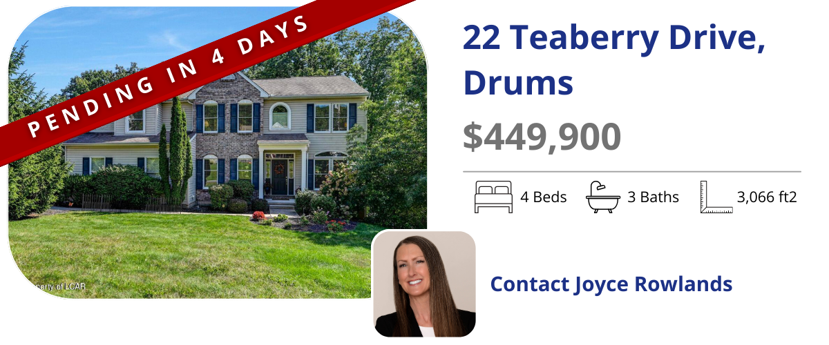 homes for sale in drums